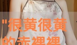 黄色美女视频网站,暗流涌动的网络世界